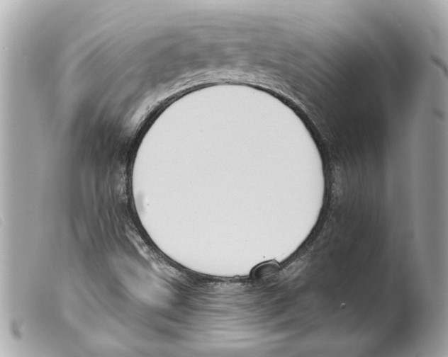 X0000099301499200805301122