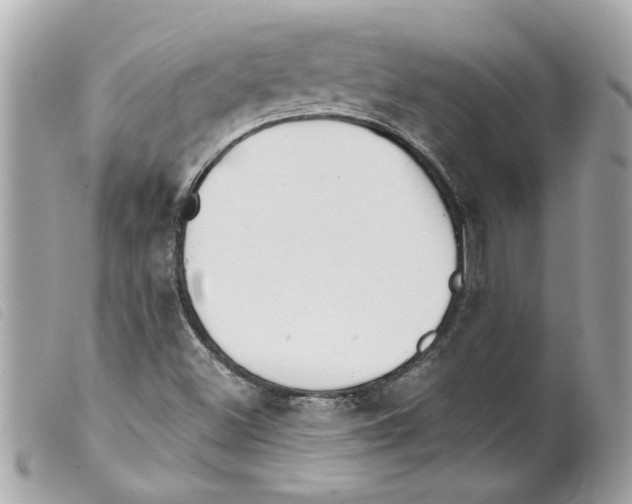 X0000099301500200805301122