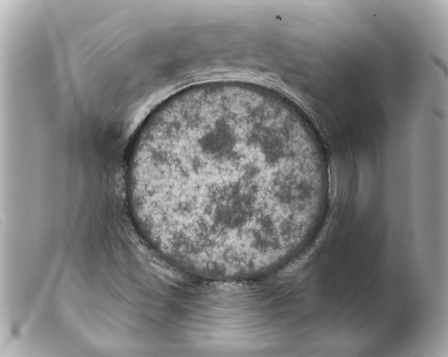 X0000099301501200805301122