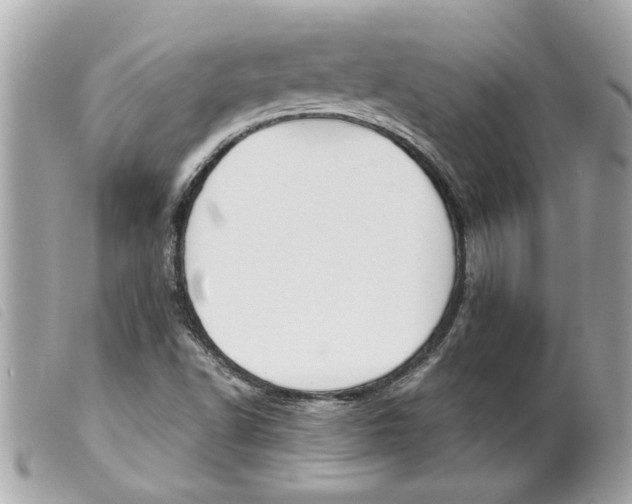 X0000099301502200805301122