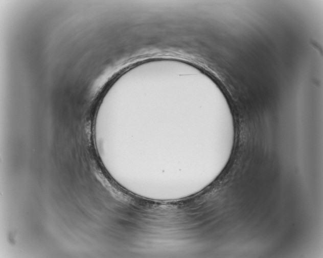 X0000099301503200805301122