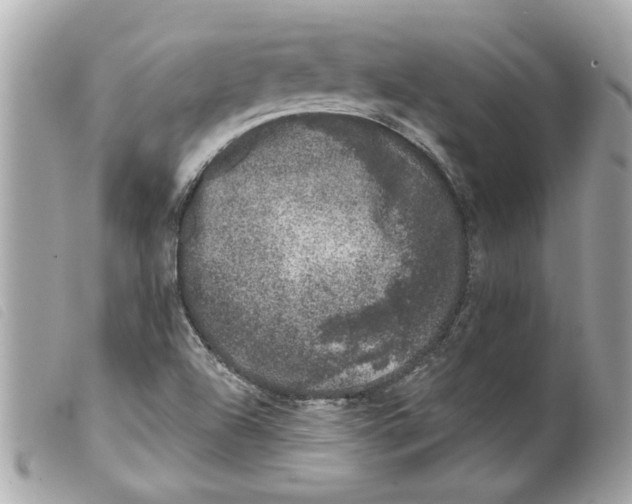 X0000099301504200805301122