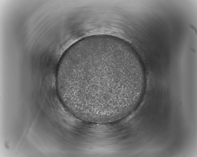 X0000099301505200805301122