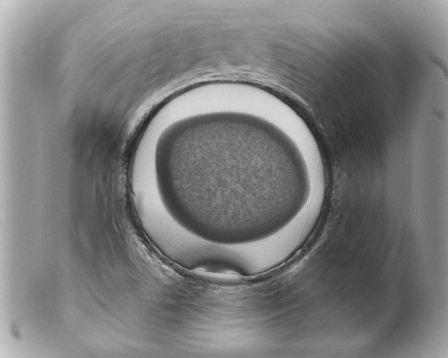 X0000099301506200805301122