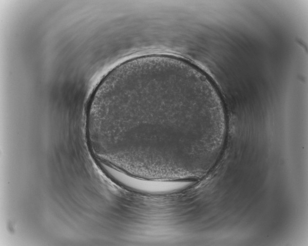 X0000099301508200805301122