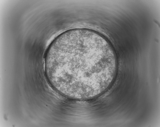 X0000099301509200805301122