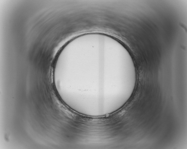 X0000099301510200805301122