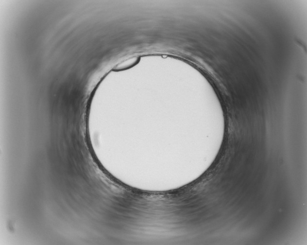 X0000099301512200805301122