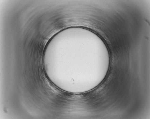 X0000099301513200805301122