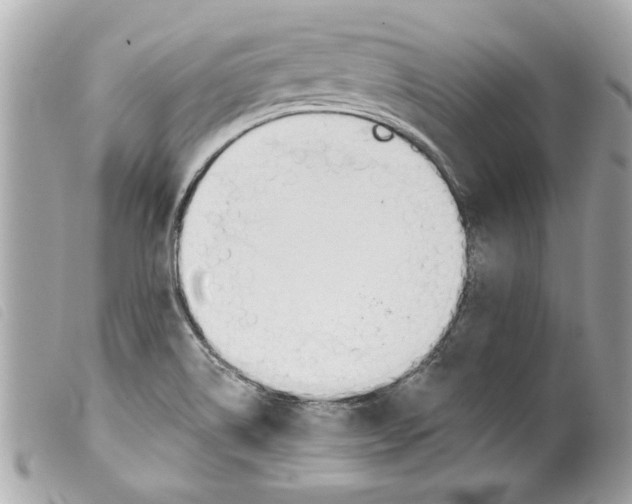 X0000099301514200805301122