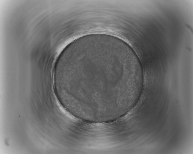 X0000099301515200805301122