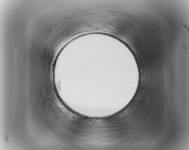 X0000099301516200805301122