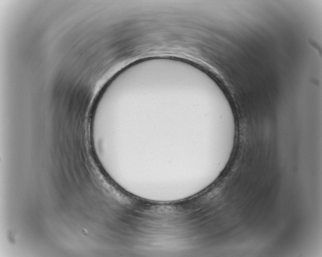 X0000099301517200805301122