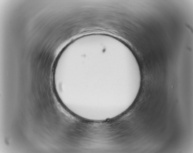 X0000099301518200805301122