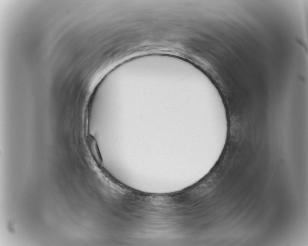 X0000099301520200805301122