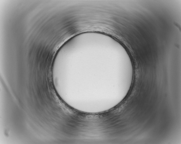 X0000099301521200805301122