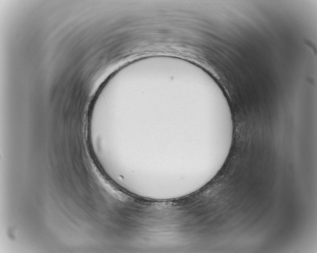 X0000099301523200805301122