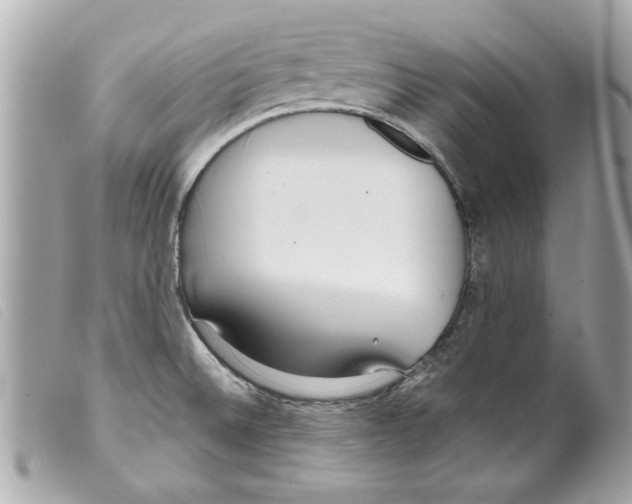 X0000099301524200805301122