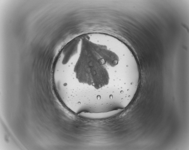 X0000099301525200805301122