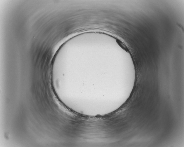 X0000099301526200805301122