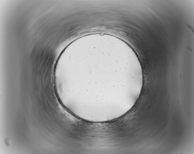 X0000099301527200805301122