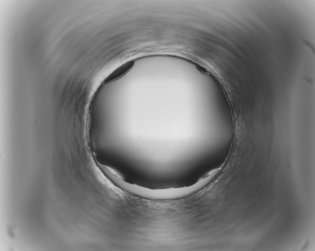 X0000099301528200805301122