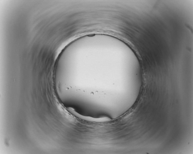 X0000099301530200805301122