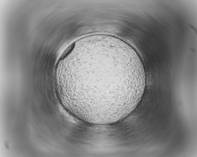 X0000099301532200805301123