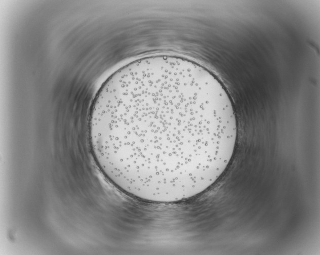 X0000099301534200805301123