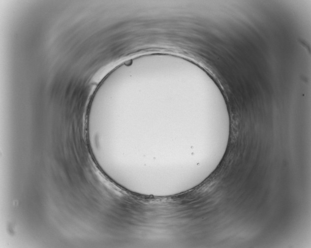 X0000099301535200805301123