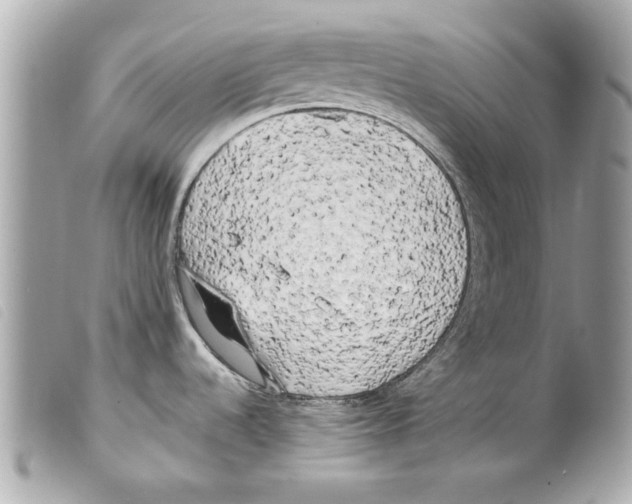 X0000099301536200805301123