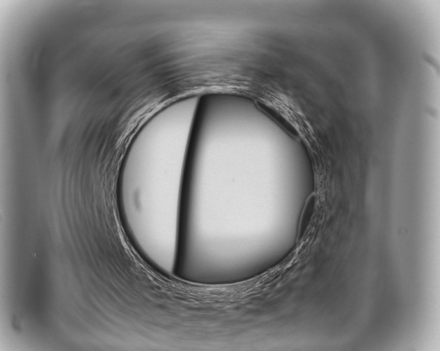 X0000099310001200805020742