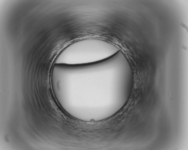 X0000099310002200805020742
