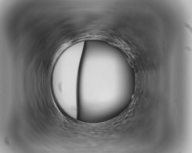 X0000099310003200805020742