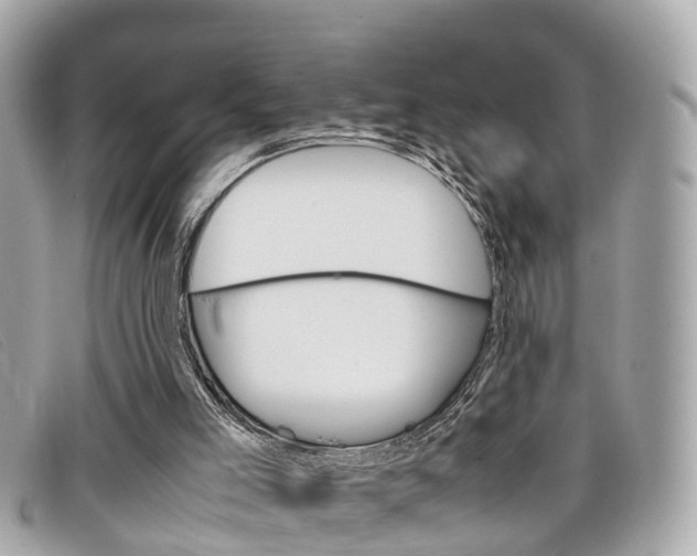 X0000099310005200805020742
