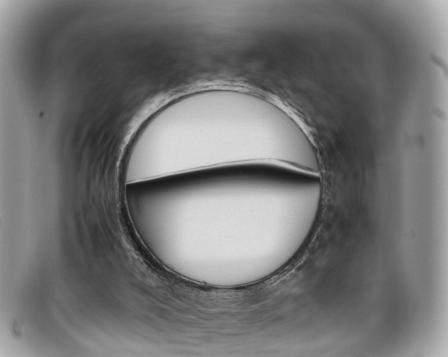 X0000099310008200805020742
