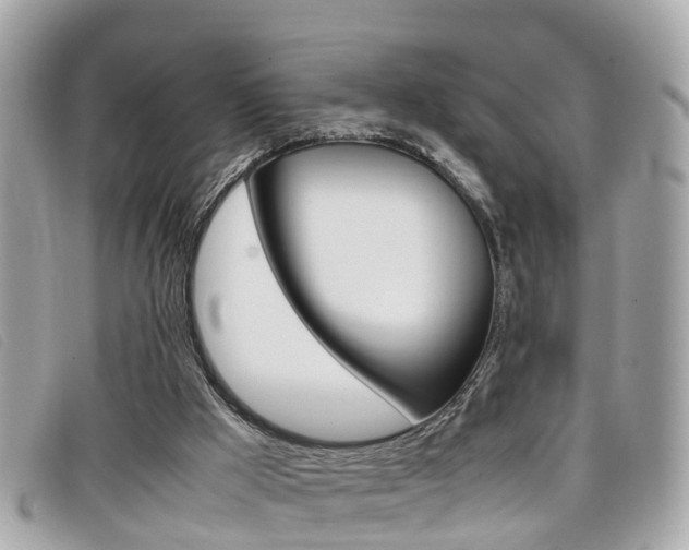 X0000099310009200805020742