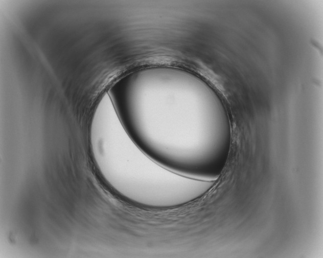 X0000099310013200805020741