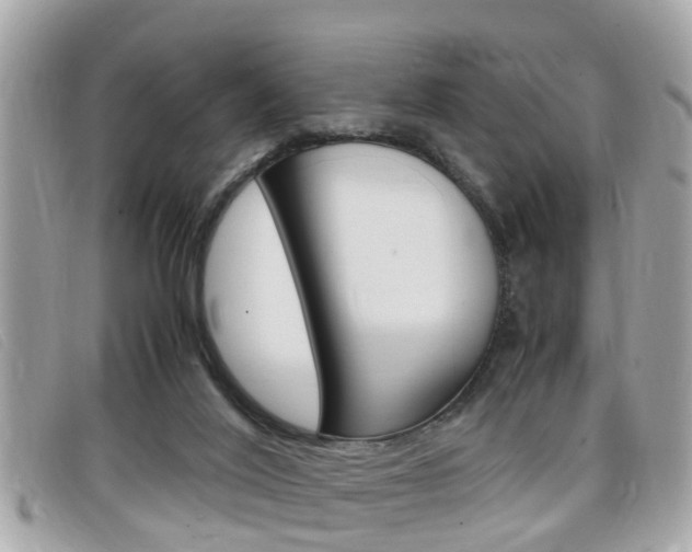 X0000099310020200805020741