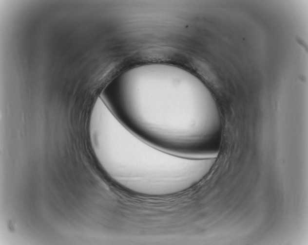 X0000099310021200805020741