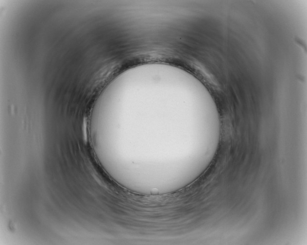 X0000099310022200805020741