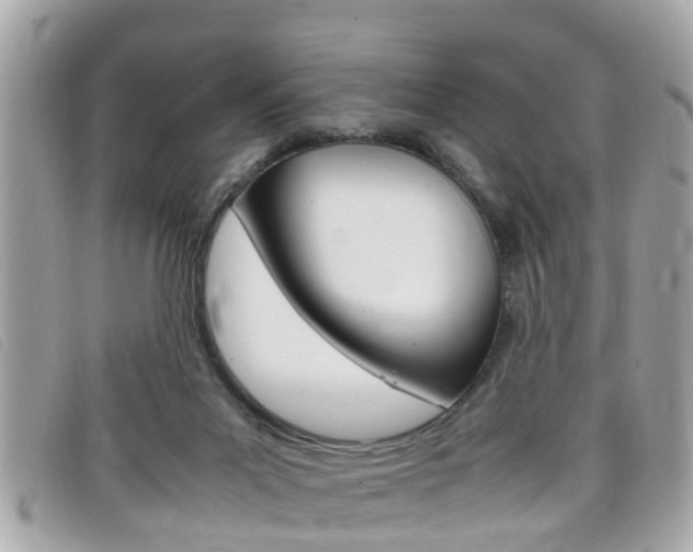 X0000099310023200805020741