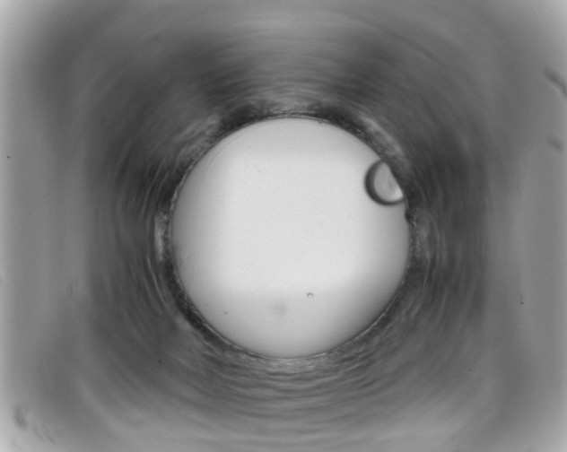 X0000099310026200805020741