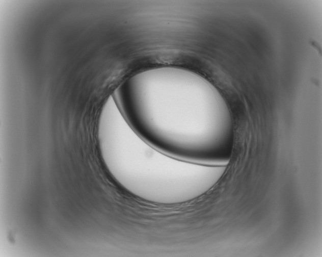 X0000099310031200805020741
