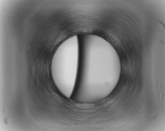 X0000099310032200805020741