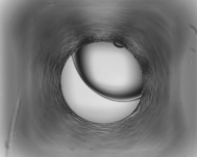 X0000099310033200805020741