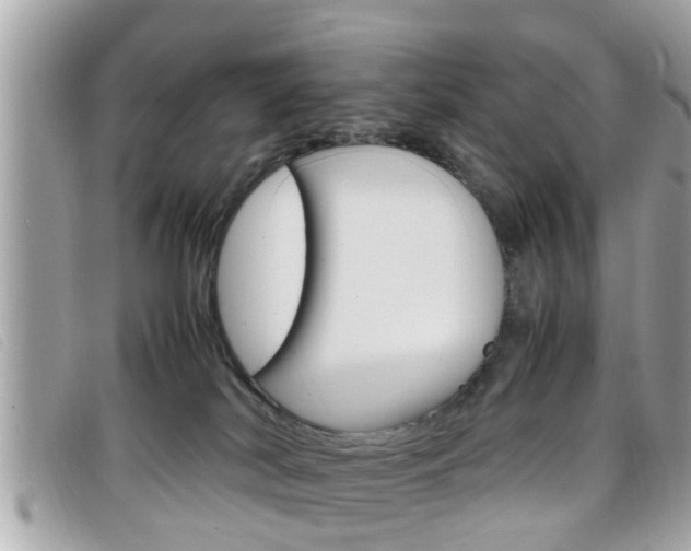 X0000099310038200805020741
