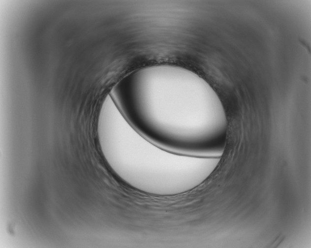 X0000099310039200805020741