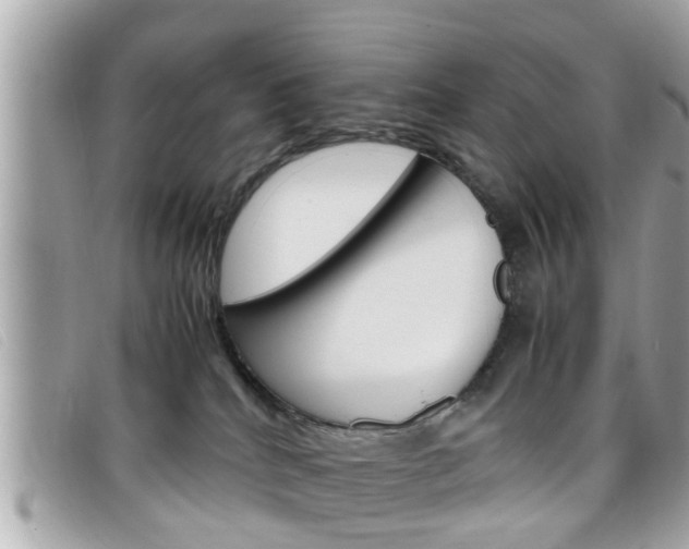 X0000099310040200805020741