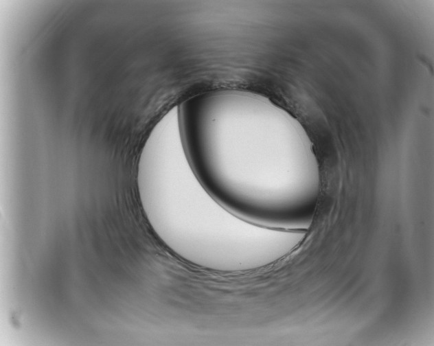 X0000099310041200805020741